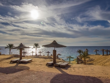 Monte Carlo Sharm El Sheikh-Туристическое агентство Мармарис Тревел( 1798353993 )